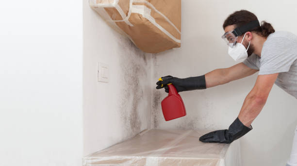 Professional Bathroom Mold Removal technician working in Barnesville, MD