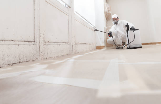 24/7 Emergency Bathroom Mold Removal experts in Barnesville, MD